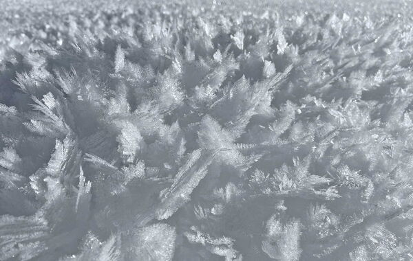 © Chasper Alexander Felix