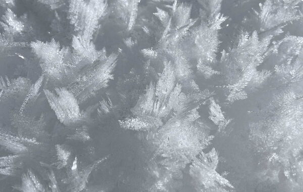 © Chasper Alexander Felix