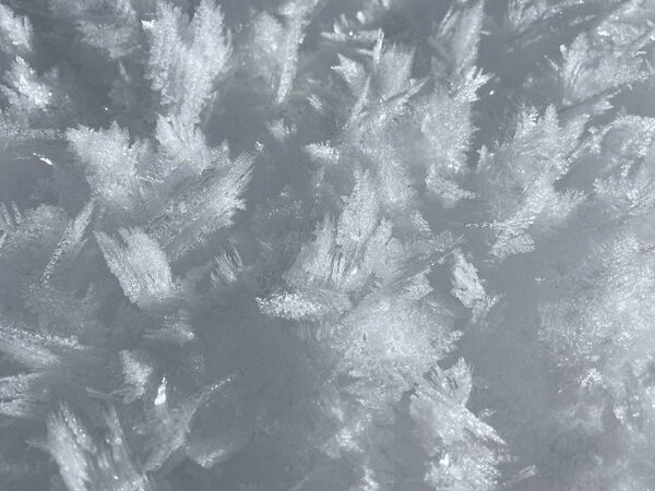 © Chasper Alexander Felix